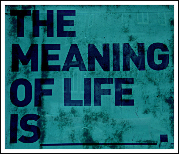 The meaning of life